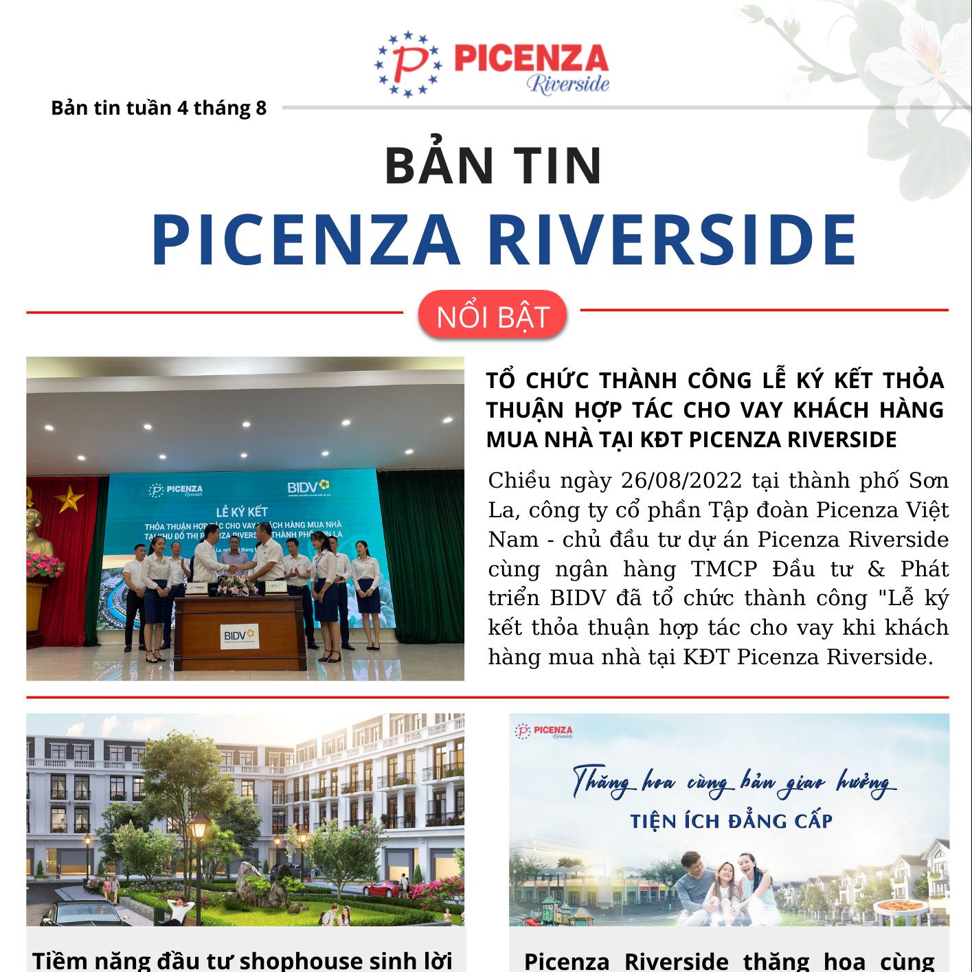 Bản tin Picenza Riverside tuần 4 tháng 8 năm 2022