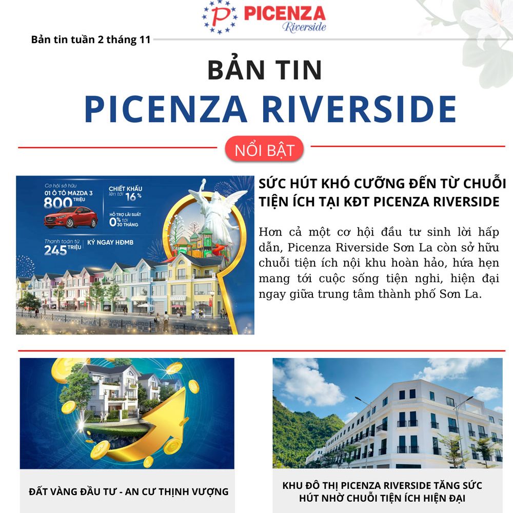 Bản tin Picenza Riverside tuần 2 tháng 11 năm 2022